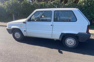 Fiat Panda Young
