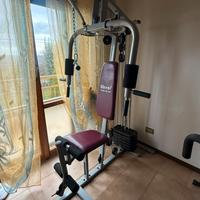 Palestra + t-crunch + pesi