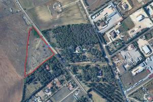 Altamura, via Ruvo, terreno seminativo edificabile