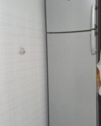 Frigo