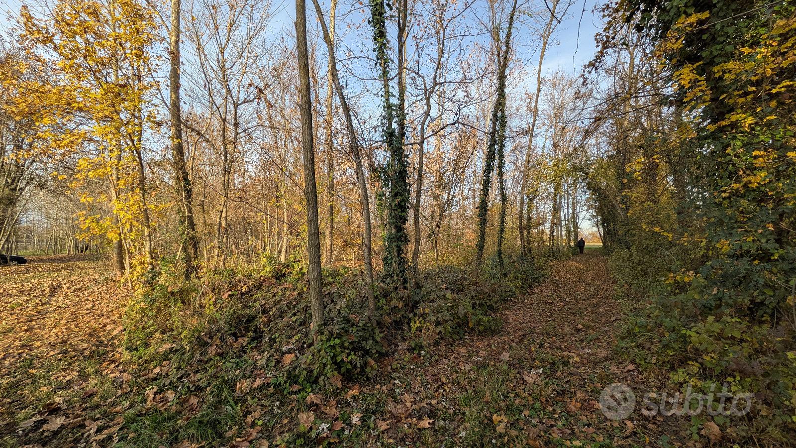 Terreno agricolo - Bannia di Fiume Veneto (PN) - Vista 5