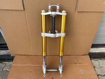 Forcella Anteriore Completa Aprilia V4 Tuono 1100