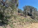 terreno-agricolo-ponzano-romano