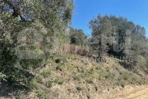 Terreno Agricolo Ponzano Romano