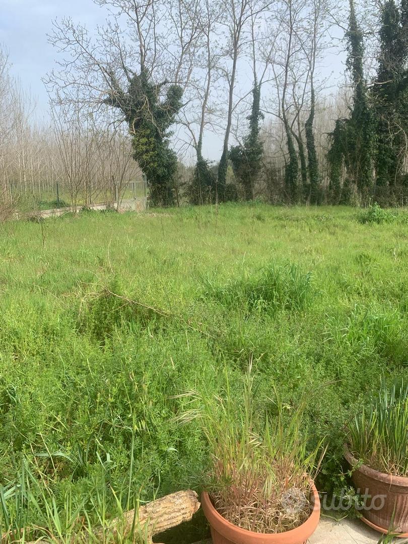 Terreno Sant'Agata de Goti - Vista 3