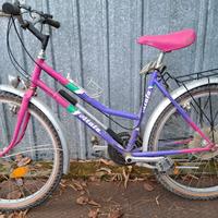 Regalasi vecchia mountain bike Atala