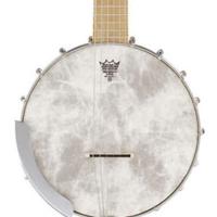 Gretsch G9460 "Dixie 6" Guitar-Banjo