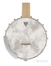 Gretsch G9460 "Dixie 6" Guitar-Banjo