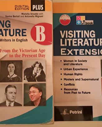 VISITING LITERATURE B