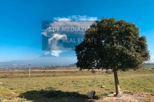 Terreno Agricolo Con Uliveto