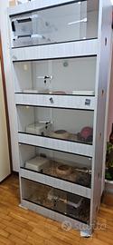 rack per rettili