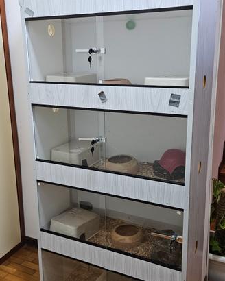 rack per rettili