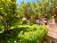 Immagine 25