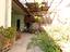 Immagine 19