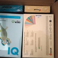 Risme di carte colorate 