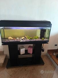 Acquario completo di mobile volume 120 litri
