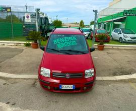 Fiat Panda 1.2 Dynamic - NEOPATENTATO