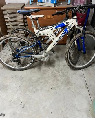 Bici da donna