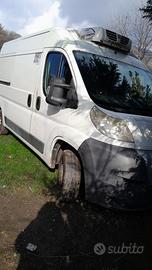 Ducato maxi 2.3mtj frigo