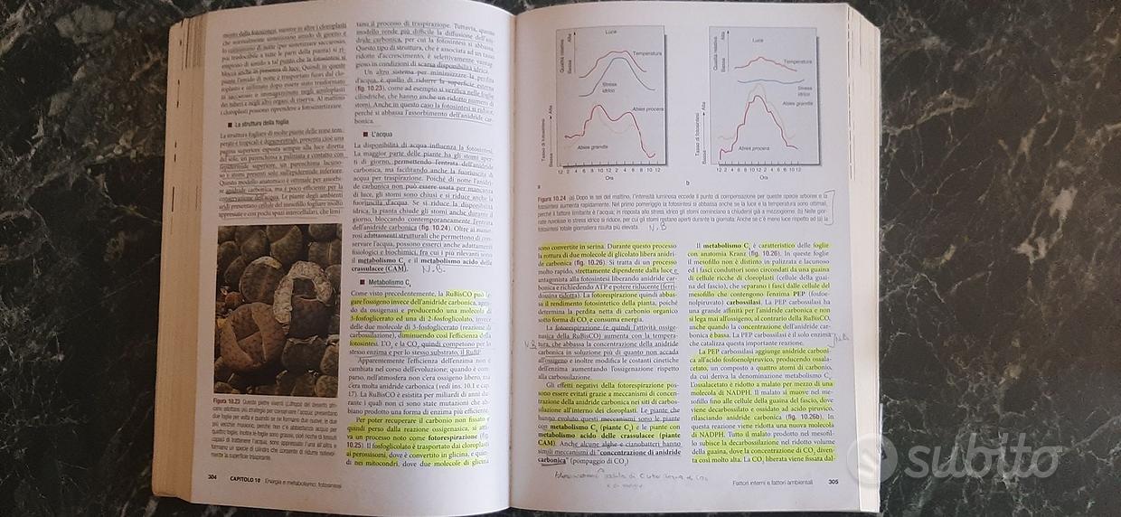 la biologia delle piante di Raven - Libri e Riviste In vendita a Varese