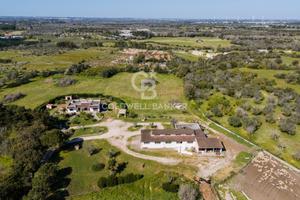Azienda Agricola - Melendugno