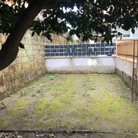 Orto bio e agrumeto a Pozzuoli - Angolo di pace