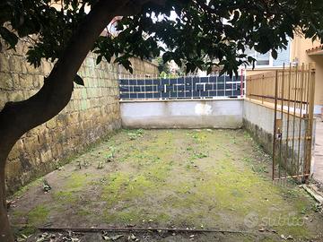 Angolo terra orto bio raccolta agrumi a Pozzuoli