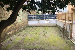 Angolo terra orto bio raccolta agrumi a Pozzuoli