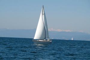 Barca a vela Rebel 35 Vetus 2019 2 cabine 6 posti