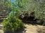 Immagine 28