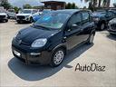 fiat-pandina-gpl-a-f-f-a-r-e
