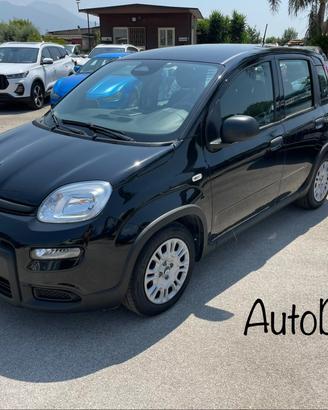 Fiat Pandina a*f*f*a*r*e