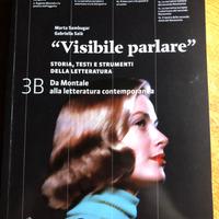 Visibile parlare 3B