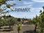 Immagine 17