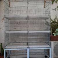 batteria gabbie da 120