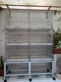 batteria gabbie da 120