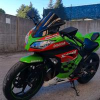Kawasaki Ninja 300 - 2014