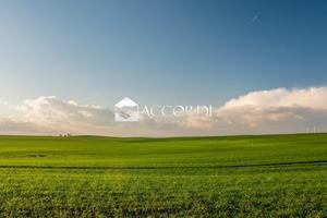 Rif.SW118_1| area edificabile montebelluna