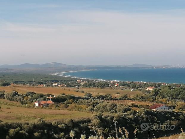 Tres Montes terreno panoramico zona di vigneti