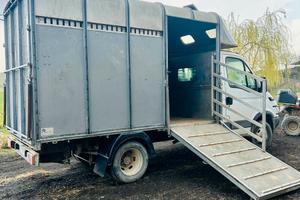 Van trasporto cavalli