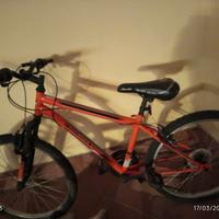 bicicletta bimbo 