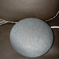 Google Nest mini