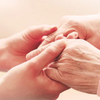 Collaboratore Domestico- Compagnia Anziani