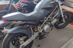 Ducati monster