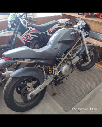 Ducati monster