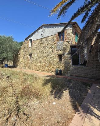 Casale a Vicopisano