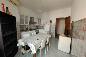 Viale b. croce a 400 mt dal campus