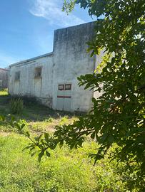 Proprietà ideale come azienda agricola o B&B