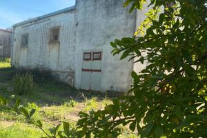 Proprietà ideale come azienda agricola o B&B