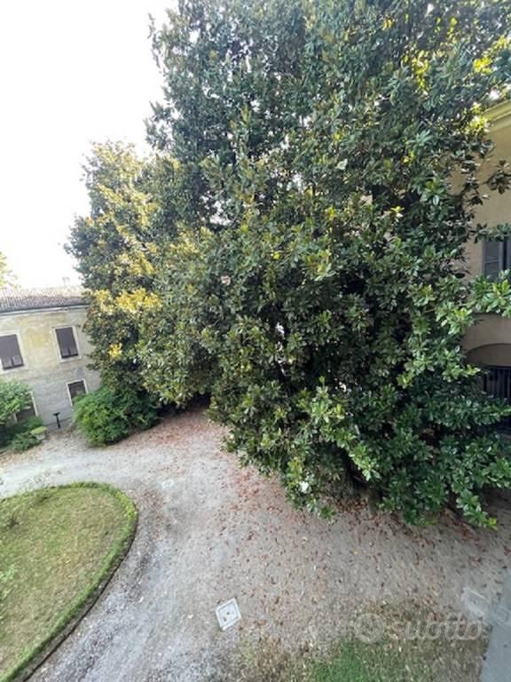Appartamento – Cremona, Centro storico - Vista 5